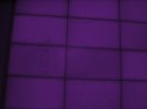 IMG_1586.JPG