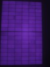 IMG_1700.JPG